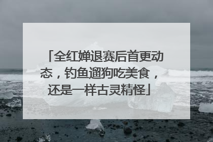 全红婵退赛后首更动态，钓鱼遛狗吃美食，还是一样古灵精怪