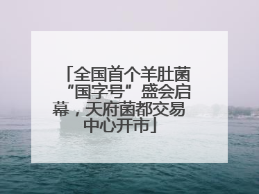 全国首个羊肚菌“国字号”盛会启幕，天府菌都交易中心开市