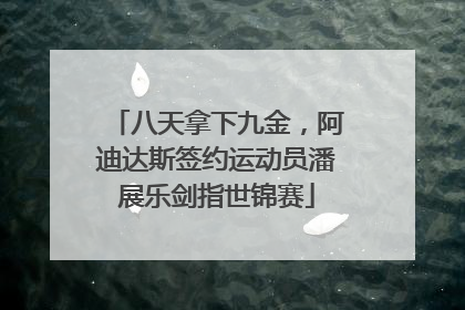 八天拿下九金，阿迪达斯签约运动员潘展乐剑指世锦赛