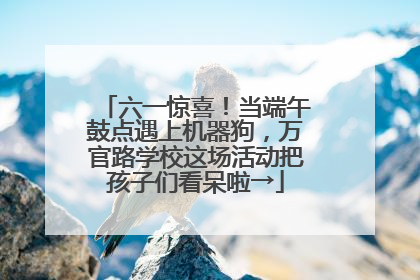 六一惊喜！当端午鼓点遇上机器狗，万官路学校这场活动把孩子们看呆啦→