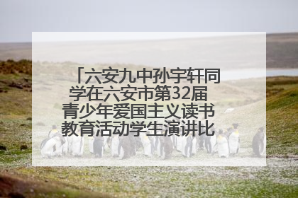 六安九中孙宇轩同学在六安市第32届青少年爱国主义读书教育活动学生演讲比赛中荣获一等奖