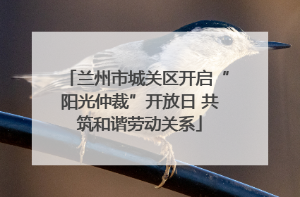 兰州市城关区开启“阳光仲裁”开放日 共筑和谐劳动关系