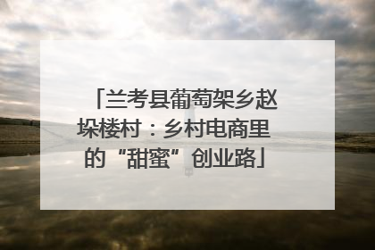 兰考县葡萄架乡赵垛楼村：乡村电商里的“甜蜜”创业路