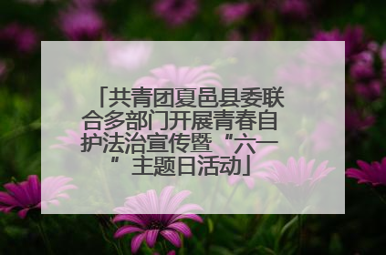 共青团夏邑县委联合多部门开展青春自护法治宣传暨“六一”主题日活动