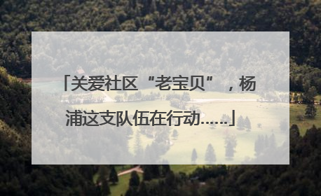 关爱社区“老宝贝”，杨浦这支队伍在行动……