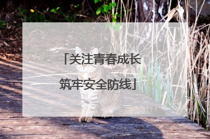 关注青春成长 筑牢安全防线