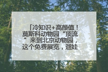 冷知识+高颜值！莫斯科动物园“顶流”来到北京动物园，这个免费展览，遛娃拍照两不误！