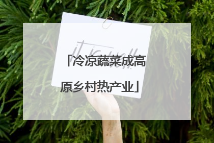 冷凉蔬菜成高原乡村热产业