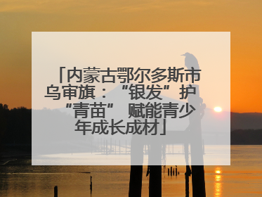 内蒙古鄂尔多斯市乌审旗：“银发”护“青苗” 赋能青少年成长成材