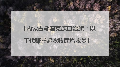 内蒙古鄂温克族自治旗：以工代赈托起农牧民增收梦