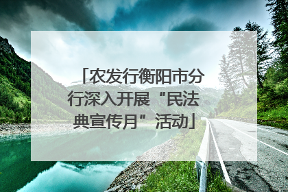 农发行衡阳市分行深入开展“民法典宣传月”活动