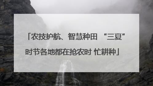 农技护航、智慧种田 “三夏”时节各地都在抢农时 忙耕种