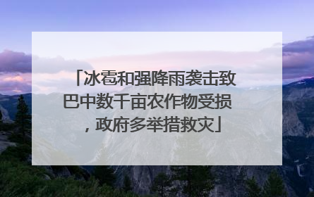 冰雹和强降雨袭击致巴中数千亩农作物受损，政府多举措救灾
