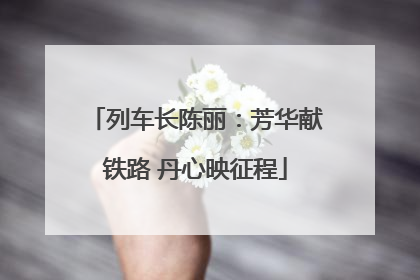 列车长陈丽：芳华献铁路 丹心映征程