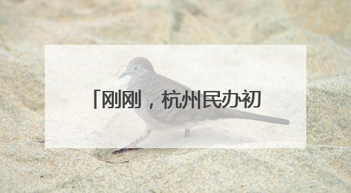 刚刚，杭州民办初中（含民转公学校）今年报名情况公布