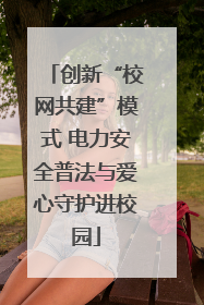 创新“校网共建”模式 电力安全普法与爱心守护进校园