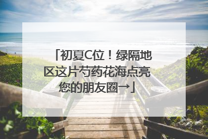 初夏C位！绿隔地区这片芍药花海点亮您的朋友圈→