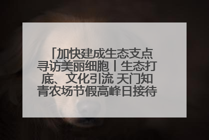 加快建成生态支点 寻访美丽细胞丨生态打底、文化引流 天门知青农场节假高峰日接待游客2万人次