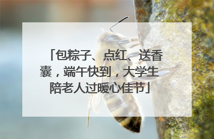 包粽子、点红、送香囊，端午快到，大学生陪老人过暖心佳节