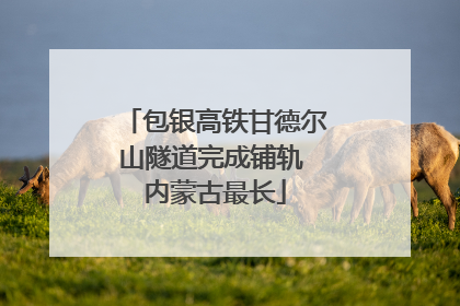 包银高铁甘德尔山隧道完成铺轨 内蒙古最长