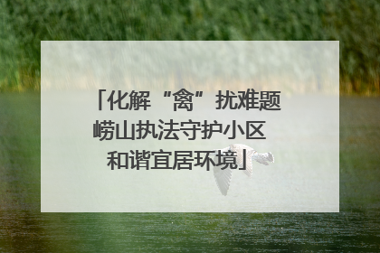 化解“禽”扰难题 崂山执法守护小区和谐宜居环境
