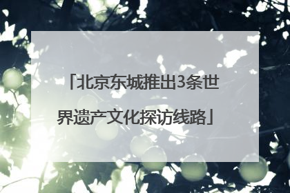 北京东城推出3条世界遗产文化探访线路