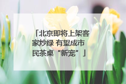 北京即将上架客家炒绿 有望成市民茶桌“新宠”