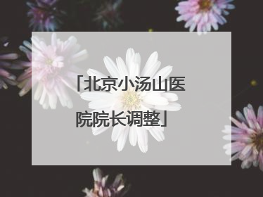 北京小汤山医院院长调整