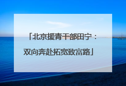 北京援青干部田宁：双向奔赴拓宽致富路