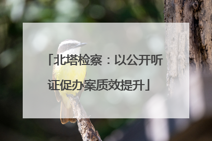 北塔检察：以公开听证促办案质效提升