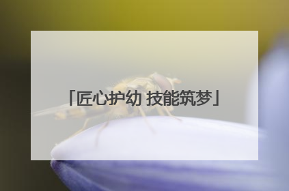 匠心护幼 技能筑梦