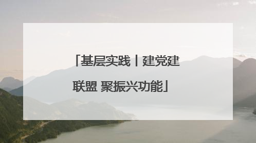 基层实践丨建党建联盟 聚振兴功能