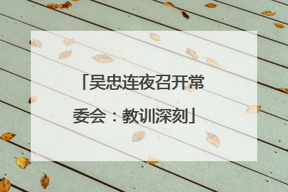 吴忠连夜召开常委会：教训深刻