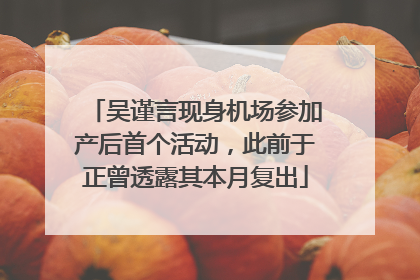 吴谨言现身机场参加产后首个活动，此前于正曾透露其本月复出