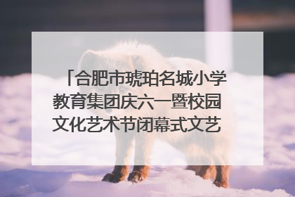 合肥市琥珀名城小学教育集团庆六一暨校园文化艺术节闭幕式文艺汇演圆满举行