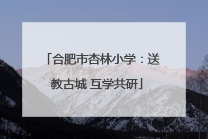 合肥市杏林小学：送教古城 互学共研