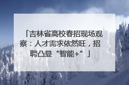 吉林省高校春招现场观察：人才需求依然旺，招聘凸显“智能+”