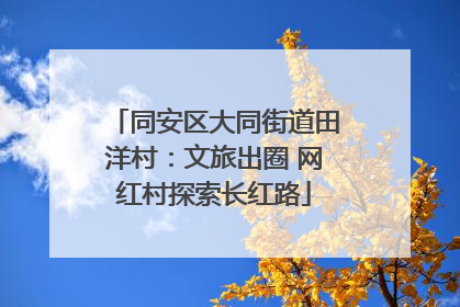 同安区大同街道田洋村：文旅出圈 网红村探索长红路