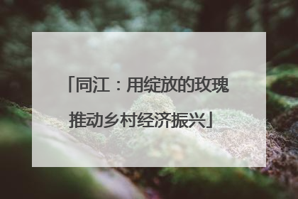 同江：用绽放的玫瑰 推动乡村经济振兴