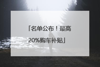 名单公布！最高20%购车补贴