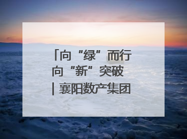 向“绿”而行 向“新”突破｜襄阳数产集团赋能低碳未来