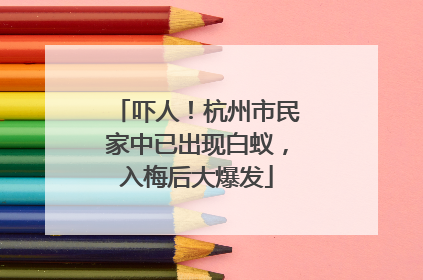 吓人！杭州市民家中已出现白蚁，入梅后大爆发