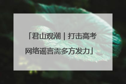 君山观潮｜打击高考网络谣言需多方发力