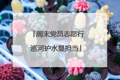 周末党员志愿行 巡河护水显担当
