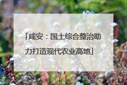 咸安：国土综合整治助力打造现代农业高地