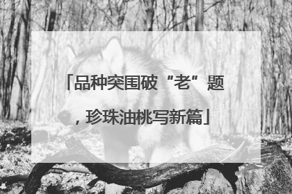 品种突围破“老”题，珍珠油桃写新篇