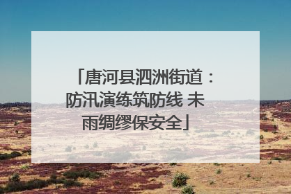 唐河县泗洲街道：防汛演练筑防线 未雨绸缪保安全