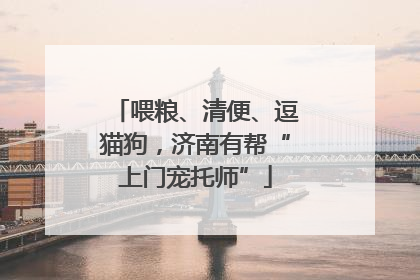 喂粮、清便、逗猫狗，济南有帮“上门宠托师”