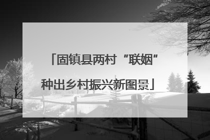 固镇县两村“联姻”种出乡村振兴新图景