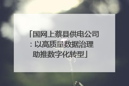 国网上蔡县供电公司：以高质量数据治理 助推数字化转型